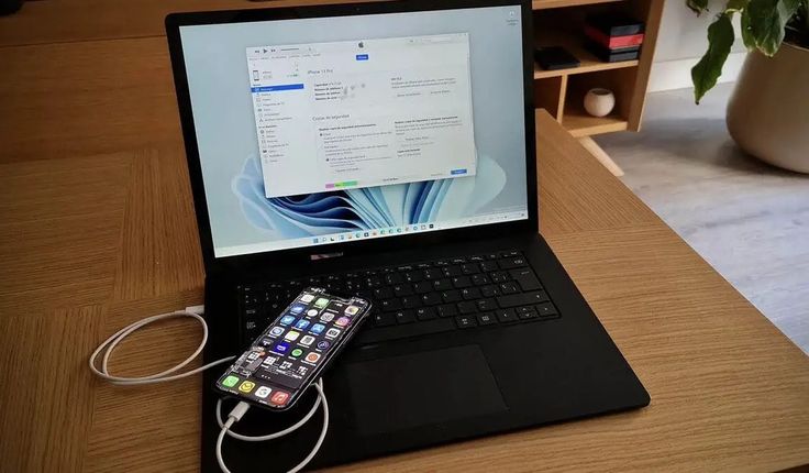 Microsoft + iPhone.